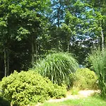 Am Waldchen Apartmán *