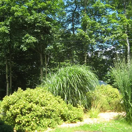 Am Waeldchen Lejlighed *