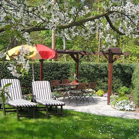 Am Waeldchen Kurort Gohrisch