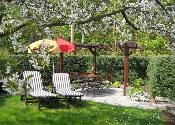 Am Waeldchen Kurort Gohrisch